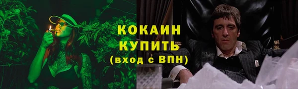 кокс Алзамай