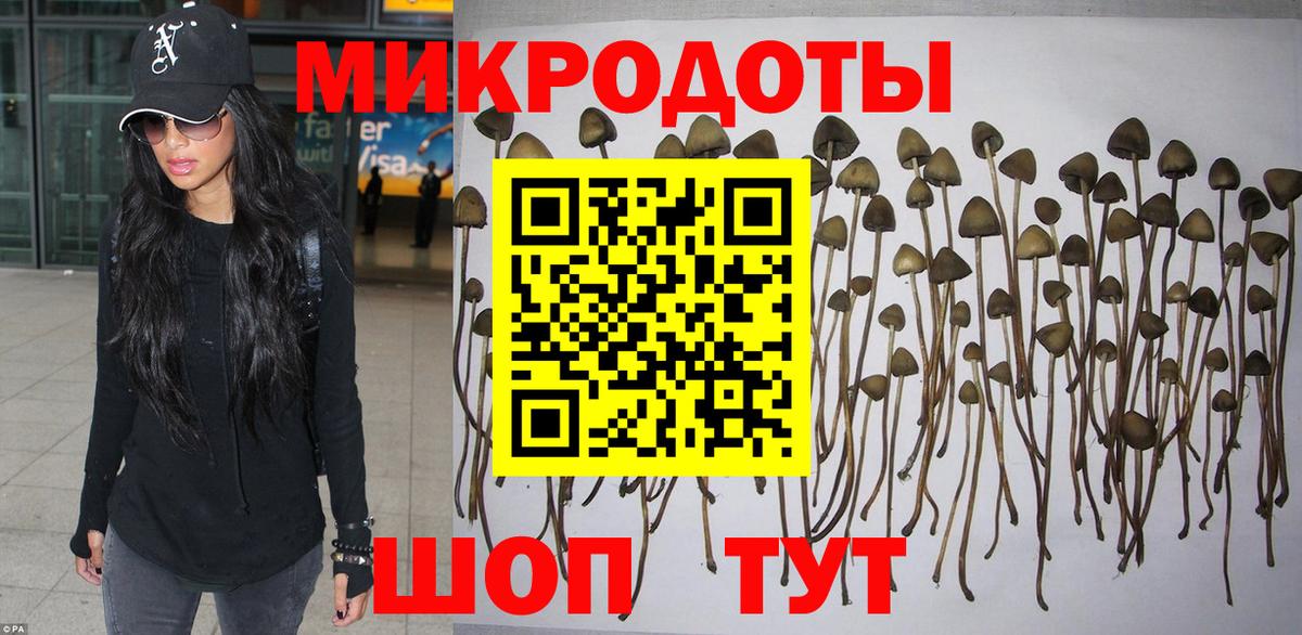 Псилоцибиновые грибы ЛСД  Галлюциногенные грибы MAGIC MUSHROOMS  Вход с VPN  Ипатово 